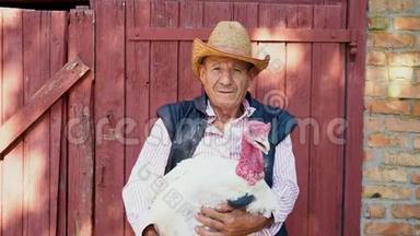 一个戴着草帽的<strong>老农</strong>夫正拿着一只活的白色火鸡。 背景上一个带白色火鸡的男人的肖像